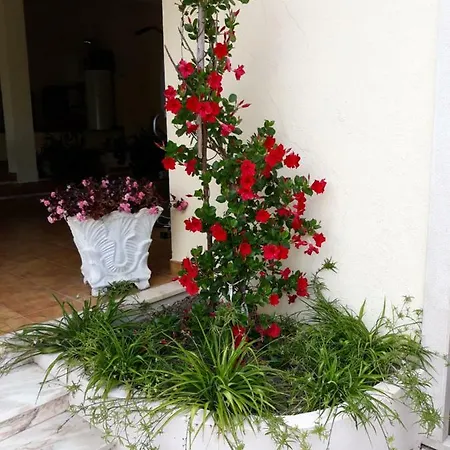 Quinta Dos Templarios Bed and breakfast