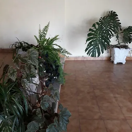 Quinta Dos Templarios