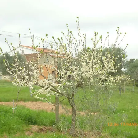 Quinta Dos Templarios Bed and breakfast Ferreira do Zêzere